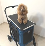 Stół z bagażnikiem do wózka BigBuddy